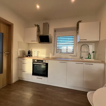 Rk Holzova Apartman Brünn (Brno)