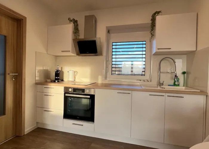 Rk Holzova Apartman Brünn (Brno)