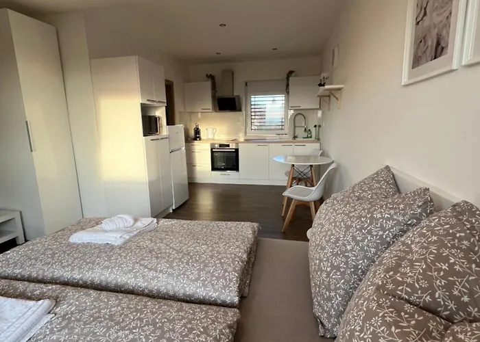 Rk Holzova Apartman Brünn (Brno)