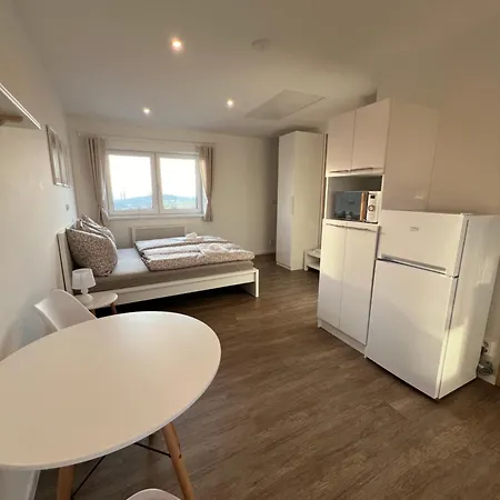 Rk Holzova * 布尔诺